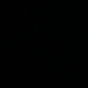 Meet your Posher, Chaz